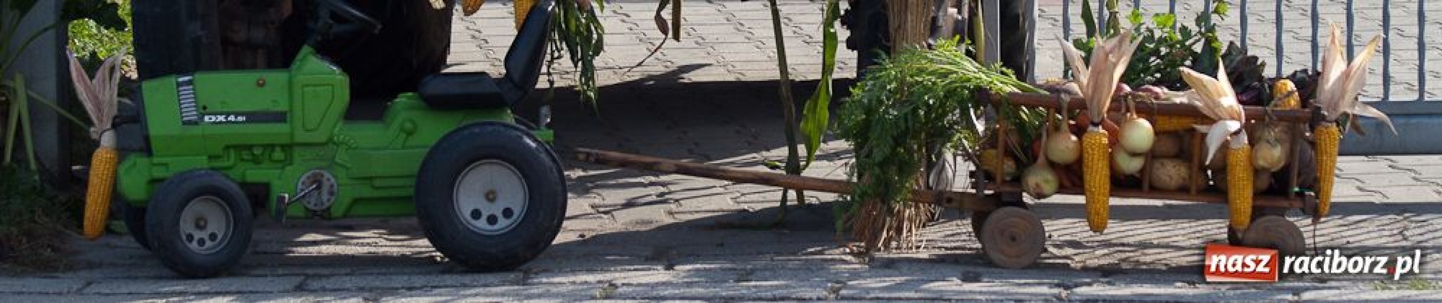 Zdjęcie w galerii na portalu naszraciborz.pl: Dożynki sołeckie w Tworkowie wiadomości z regionu