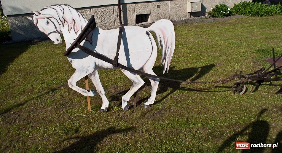 Zdjęcie w galerii na portalu naszraciborz.pl: Dożynki sołeckie w Tworkowie wiadomości z regionu