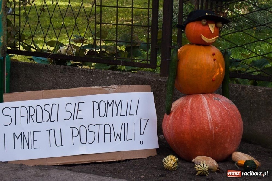 Zdjęcie w galerii na portalu naszraciborz.pl: Dożynki sołeckie w Tworkowie wiadomości z regionu