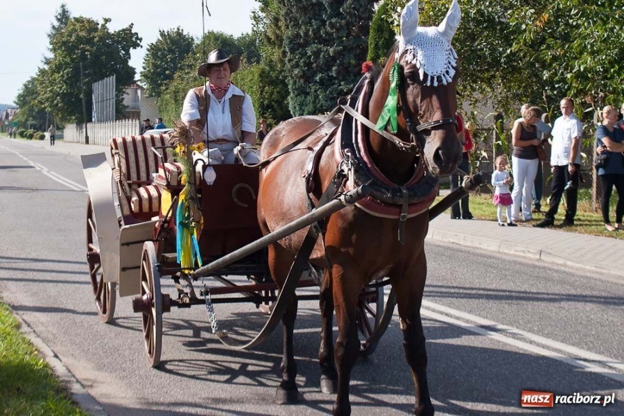 Zdjęcie w galerii na portalu naszraciborz.pl: Dożynki sołeckie w Tworkowie wiadomości z regionu