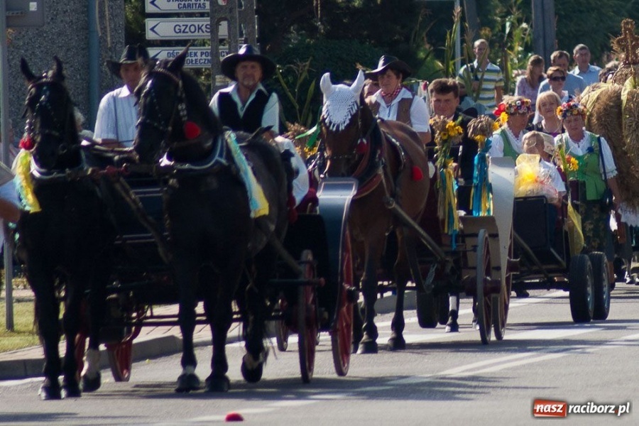 Zdjęcie w galerii na portalu naszraciborz.pl: Dożynki sołeckie w Tworkowie wiadomości z regionu