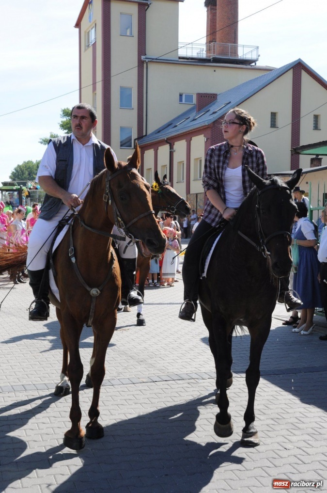 Zdjęcie w galerii na portalu naszraciborz.pl: W Pietrowicach rewia sprzętu wiadomości z regionu