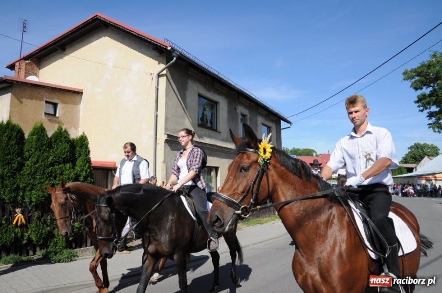 Zdjęcie w galerii na portalu naszraciborz.pl: W Pietrowicach rewia sprzętu wiadomości z regionu