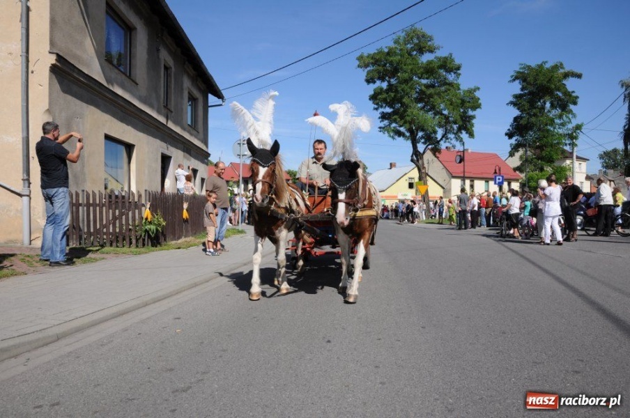 Zdjęcie w galerii na portalu naszraciborz.pl: W Pietrowicach rewia sprzętu wiadomości z regionu