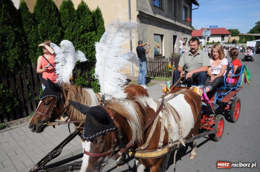 Zdjęcie w galerii na portalu naszraciborz.pl: W Pietrowicach rewia sprzętu wiadomości z regionu