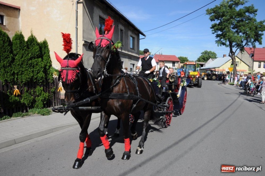 Zdjęcie w galerii na portalu naszraciborz.pl: W Pietrowicach rewia sprzętu wiadomości z regionu