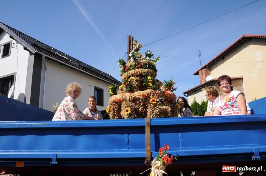 Zdjęcie w galerii na portalu naszraciborz.pl: W Pietrowicach rewia sprzętu wiadomości z regionu