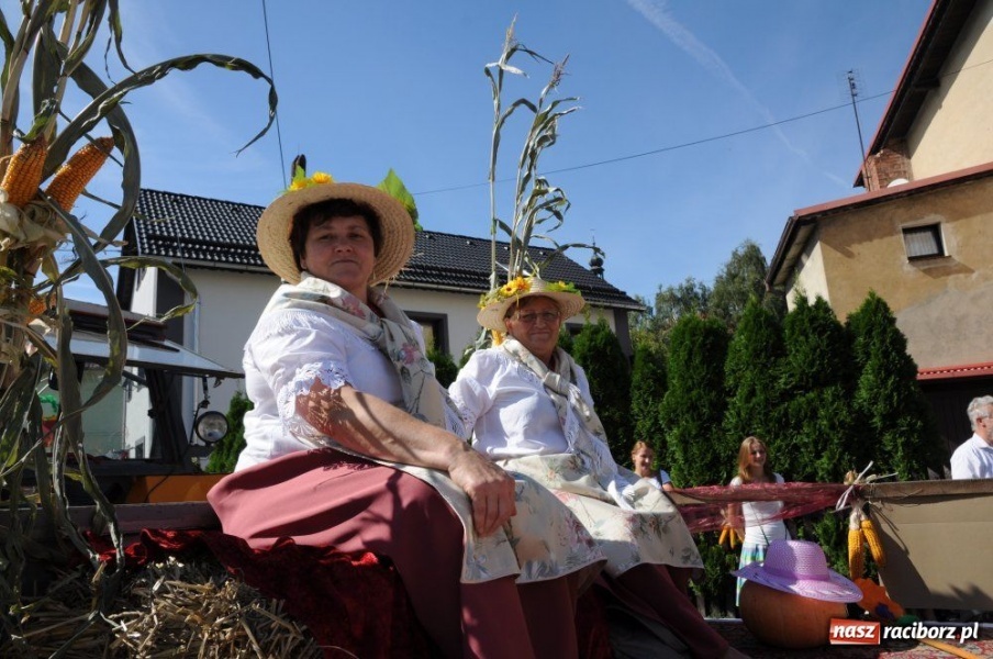 Zdjęcie w galerii na portalu naszraciborz.pl: W Pietrowicach rewia sprzętu wiadomości z regionu