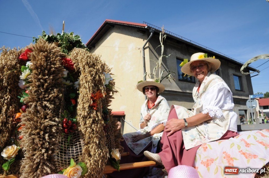 Zdjęcie w galerii na portalu naszraciborz.pl: W Pietrowicach rewia sprzętu wiadomości z regionu