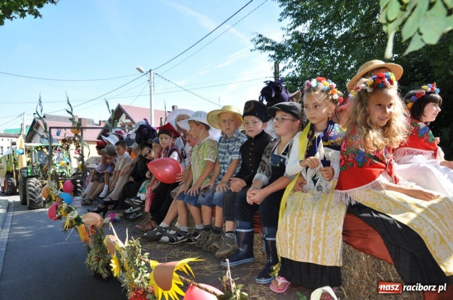 Zdjęcie w galerii na portalu naszraciborz.pl: W Pietrowicach rewia sprzętu wiadomości z regionu