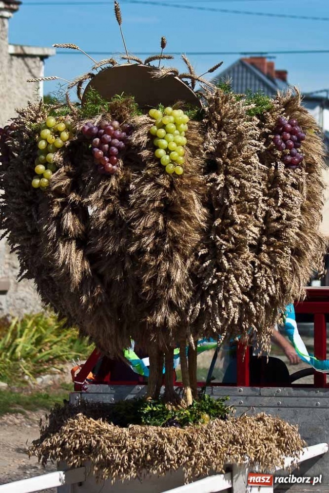 Zdjęcie w galerii na portalu naszraciborz.pl: Robota to głupota - dożynki w Studziennej wiadomości z regionu