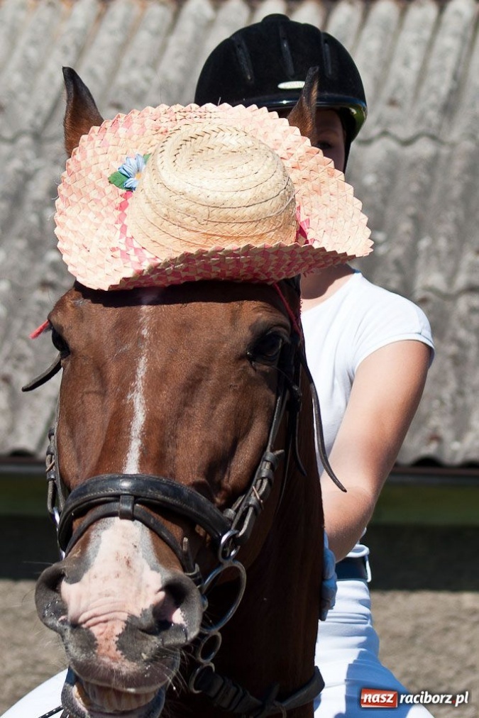 Zdjęcie w galerii na portalu naszraciborz.pl: Robota to głupota - dożynki w Studziennej wiadomości z regionu