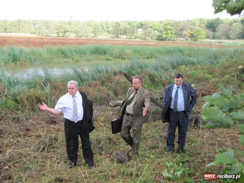 Zdjęcie w galerii na portalu naszraciborz.pl: W wodzie stanie wieża widokowa wiadomości z regionu