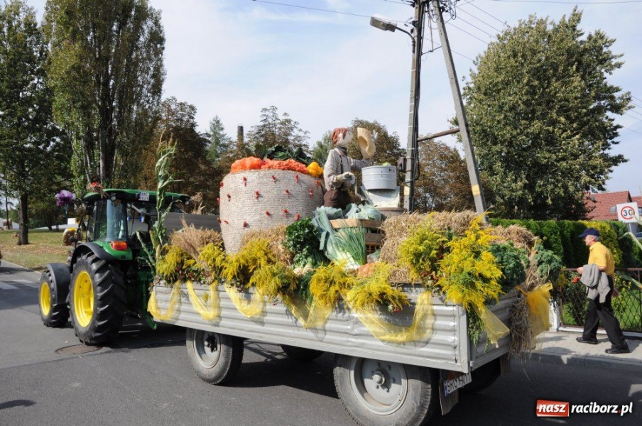 Zdjęcie w galerii na portalu naszraciborz.pl: Dożynki miejskie - osiedlowi rolnicy z Ocic wiadomości z regionu