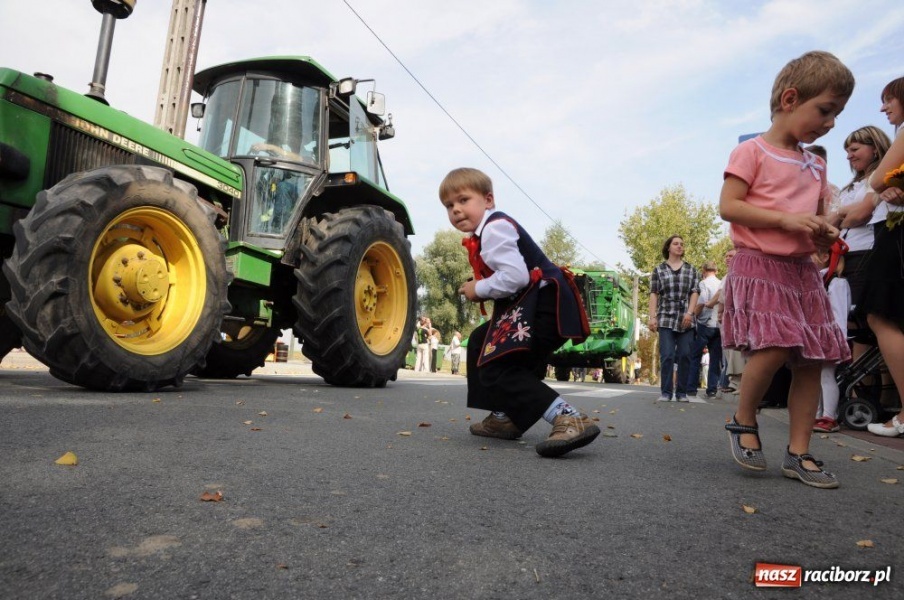 Zdjęcie w galerii na portalu naszraciborz.pl: Dożynki miejskie - osiedlowi rolnicy z Ocic wiadomości z regionu