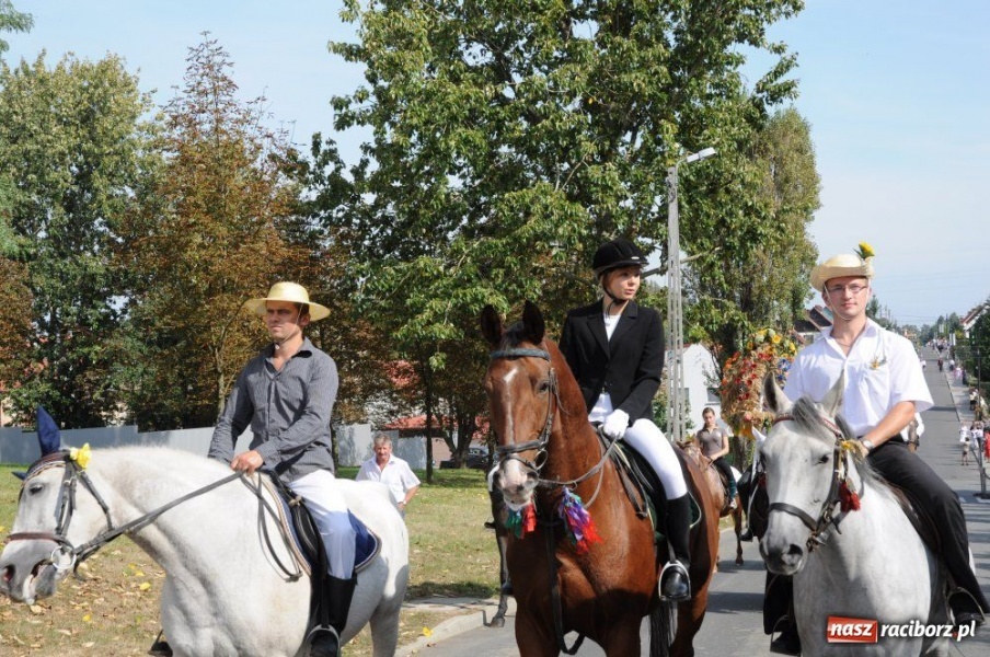 Zdjęcie w galerii na portalu naszraciborz.pl: Dożynki miejskie - osiedlowi rolnicy z Ocic wiadomości z regionu