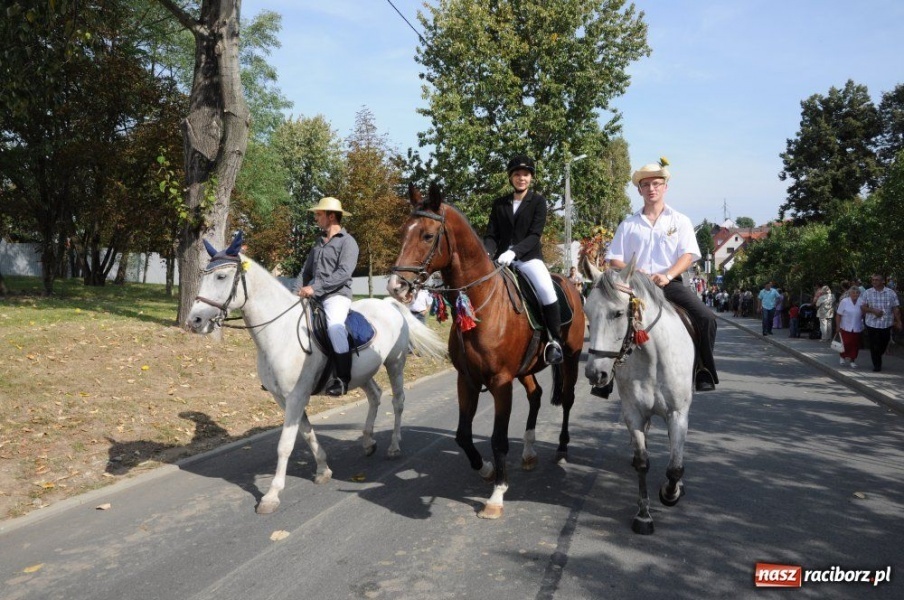 Zdjęcie w galerii na portalu naszraciborz.pl: Dożynki miejskie - osiedlowi rolnicy z Ocic wiadomości z regionu