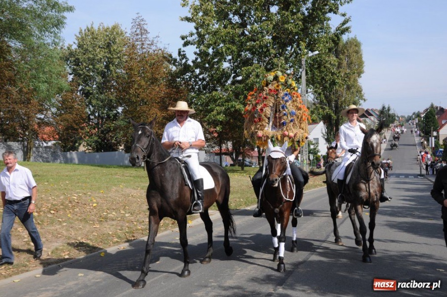 Zdjęcie w galerii na portalu naszraciborz.pl: Dożynki miejskie - osiedlowi rolnicy z Ocic wiadomości z regionu