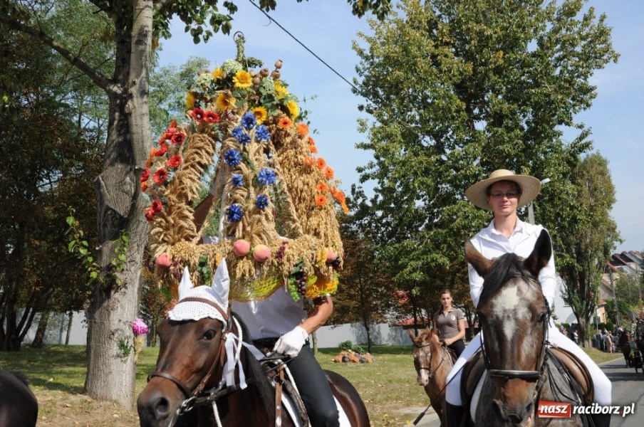 Zdjęcie w galerii na portalu naszraciborz.pl: Dożynki miejskie - osiedlowi rolnicy z Ocic wiadomości z regionu