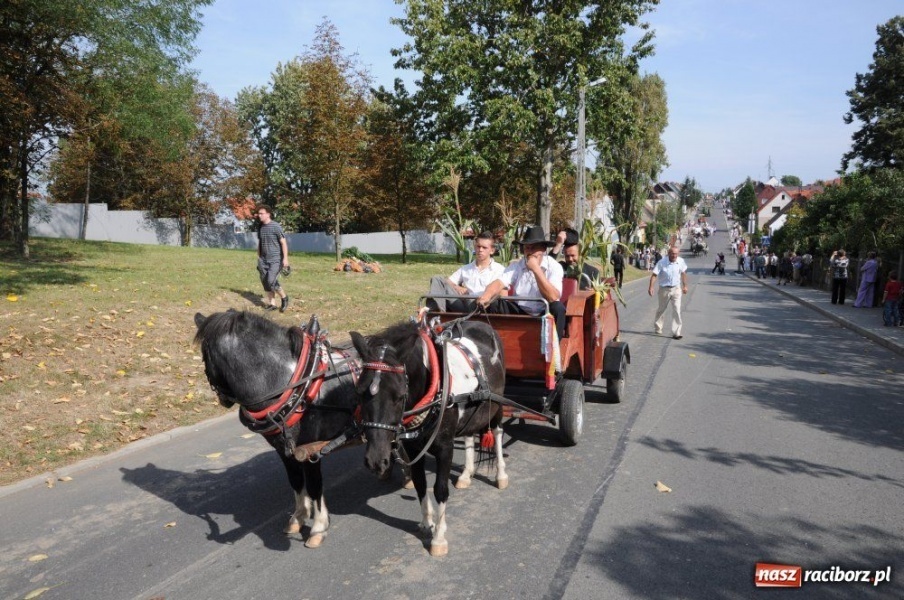 Zdjęcie w galerii na portalu naszraciborz.pl: Dożynki miejskie - osiedlowi rolnicy z Ocic wiadomości z regionu