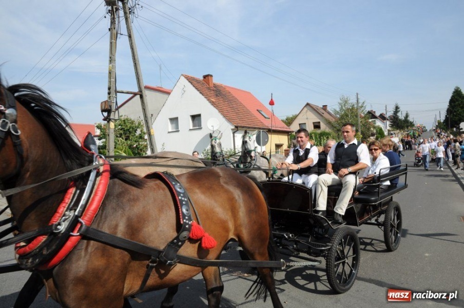 Zdjęcie w galerii na portalu naszraciborz.pl: Dożynki miejskie - osiedlowi rolnicy z Ocic wiadomości z regionu