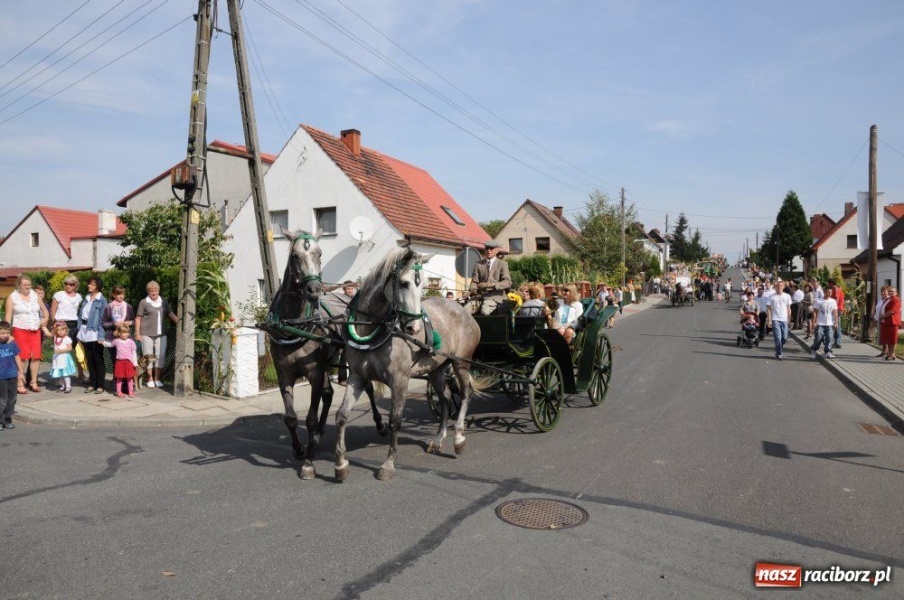 Zdjęcie w galerii na portalu naszraciborz.pl: Dożynki miejskie - osiedlowi rolnicy z Ocic wiadomości z regionu