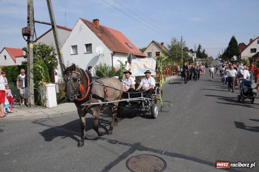 Zdjęcie w galerii na portalu naszraciborz.pl: Dożynki miejskie - osiedlowi rolnicy z Ocic wiadomości z regionu