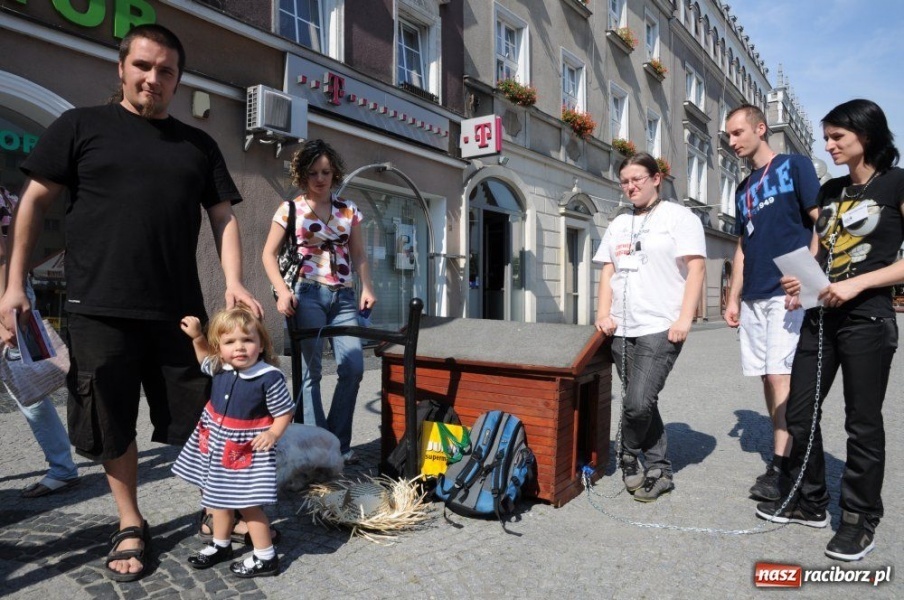 Zdjęcie w galerii na portalu naszraciborz.pl: Nie odwracajcie głowy, gdy widzicie... wiadomości z regionu