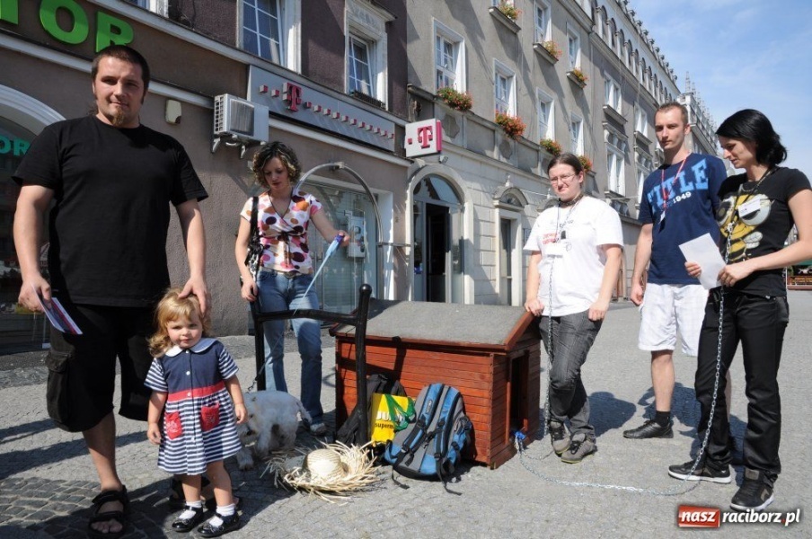 Zdjęcie w galerii na portalu naszraciborz.pl: Nie odwracajcie głowy, gdy widzicie... wiadomości z regionu