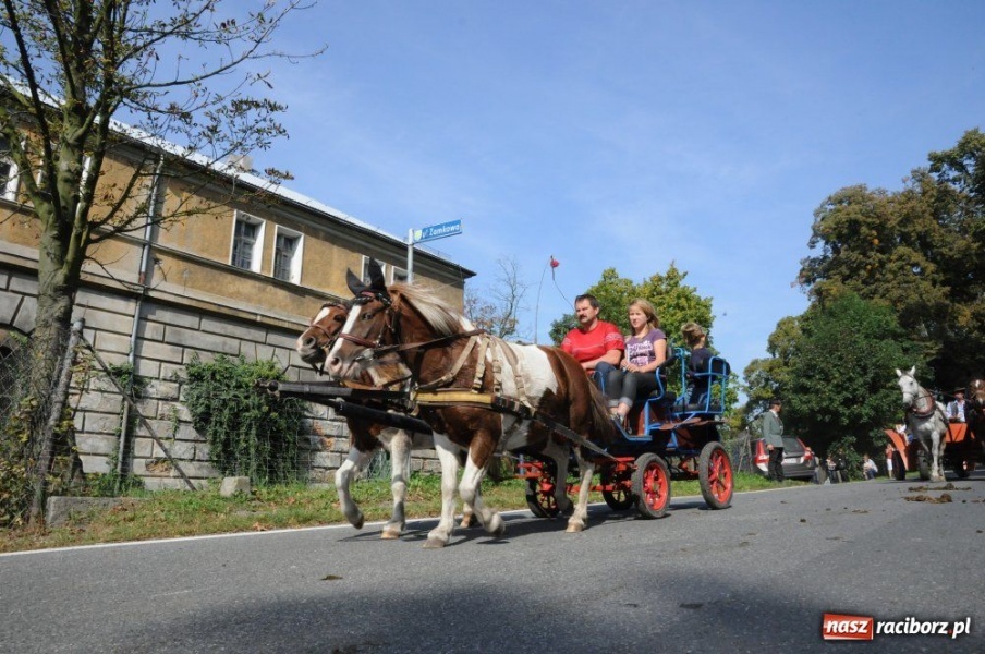 Zdjęcie w galerii na portalu naszraciborz.pl: Hubertus w Krowiarkach wiadomości z regionu