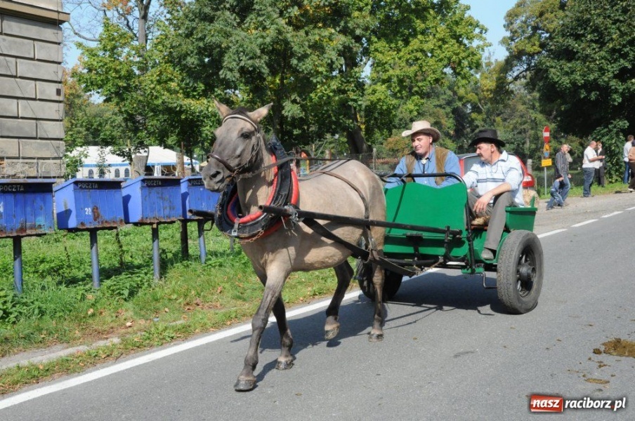 Zdjęcie w galerii na portalu naszraciborz.pl: Hubertus w Krowiarkach wiadomości z regionu