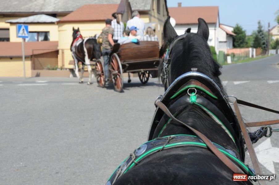 Zdjęcie w galerii na portalu naszraciborz.pl: Hubertus w Krowiarkach wiadomości z regionu