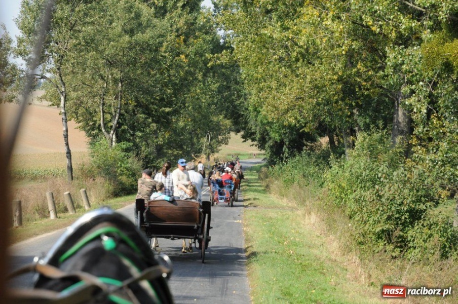 Zdjęcie w galerii na portalu naszraciborz.pl: Hubertus w Krowiarkach wiadomości z regionu