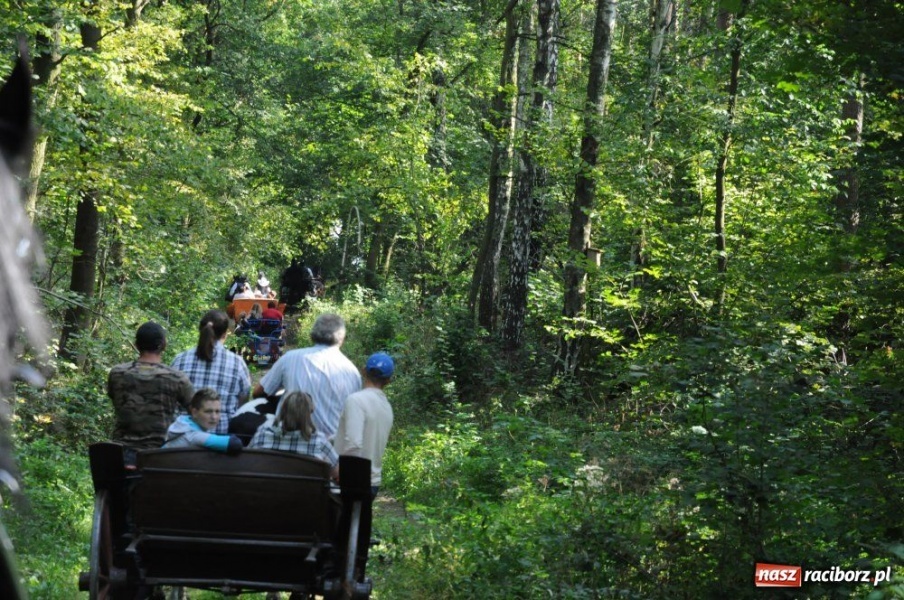 Zdjęcie w galerii na portalu naszraciborz.pl: Hubertus w Krowiarkach wiadomości z regionu