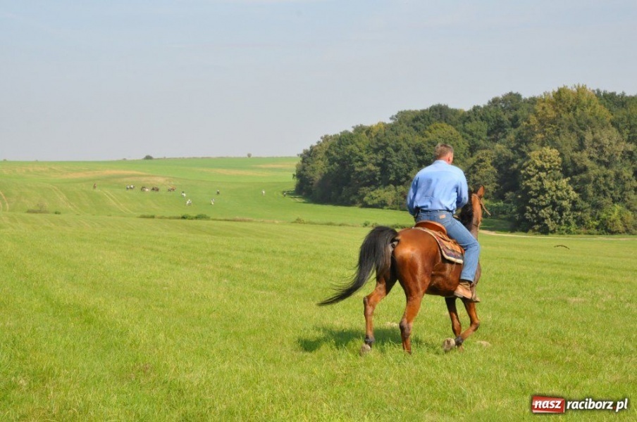 Zdjęcie w galerii na portalu naszraciborz.pl: Hubertus w Krowiarkach wiadomości z regionu