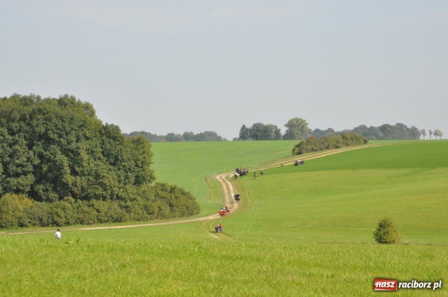 Zdjęcie w galerii na portalu naszraciborz.pl: Hubertus w Krowiarkach wiadomości z regionu