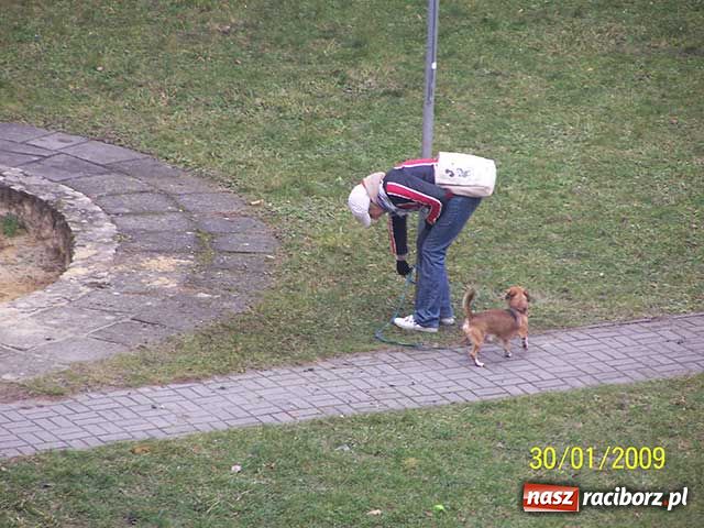Zdjęcie w galerii na portalu naszraciborz.pl: Piesek na zakazie wiadomości z regionu