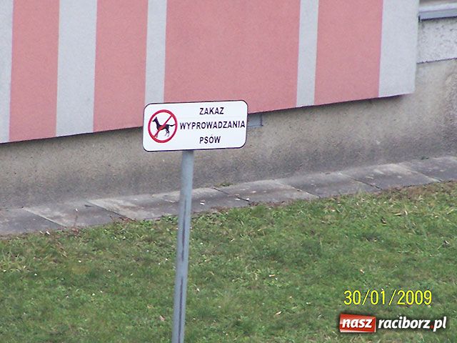 Zdjęcie w galerii na portalu naszraciborz.pl: Piesek na zakazie wiadomości z regionu