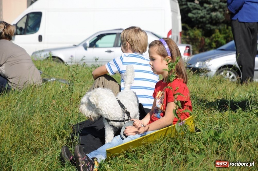 Zdjęcie w galerii na portalu naszraciborz.pl: Pokazy lotnicze nad Ulgą wiadomości z regionu