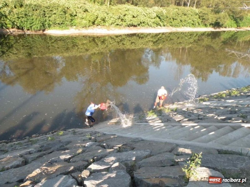 Zdjęcie w galerii na portalu naszraciborz.pl: Otwarcie nowych przystani na Odrze wiadomości z regionu