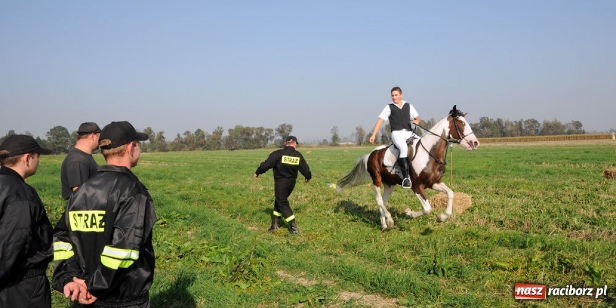 Zdjęcie w galerii na portalu naszraciborz.pl: W pogoni triumf 18-letniej amazonki wiadomości z regionu