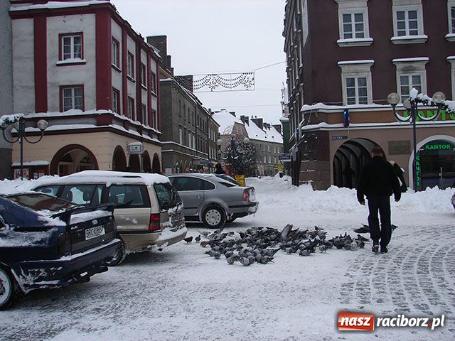 Zdjęcie w galerii na portalu naszraciborz.pl: Atak zimy - największe opady w roku wiadomości z regionu