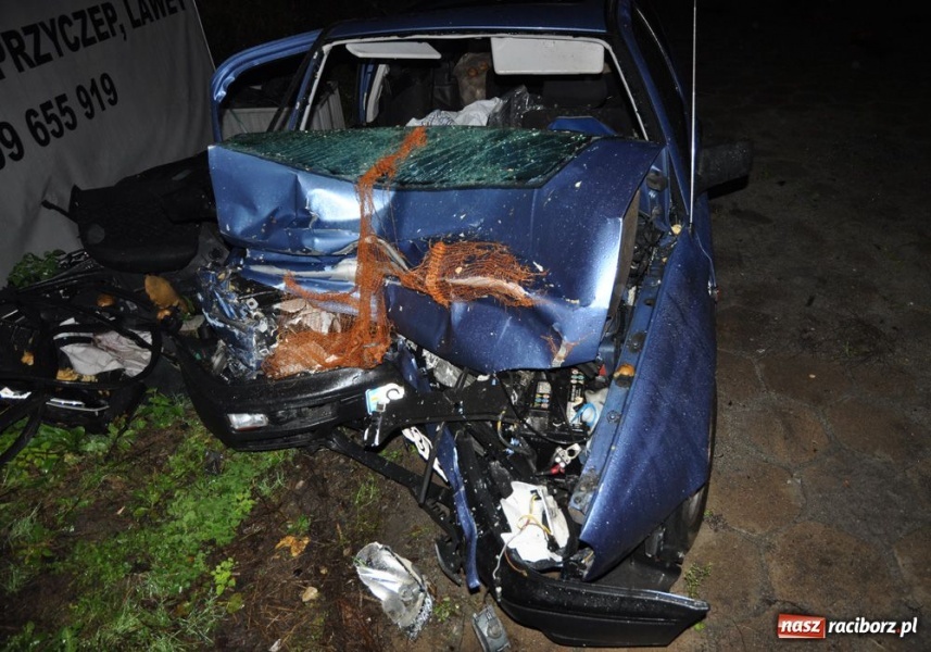 Zdjęcie w galerii na portalu naszraciborz.pl: Śmiertelny wypadek na DK 45 wiadomości z regionu