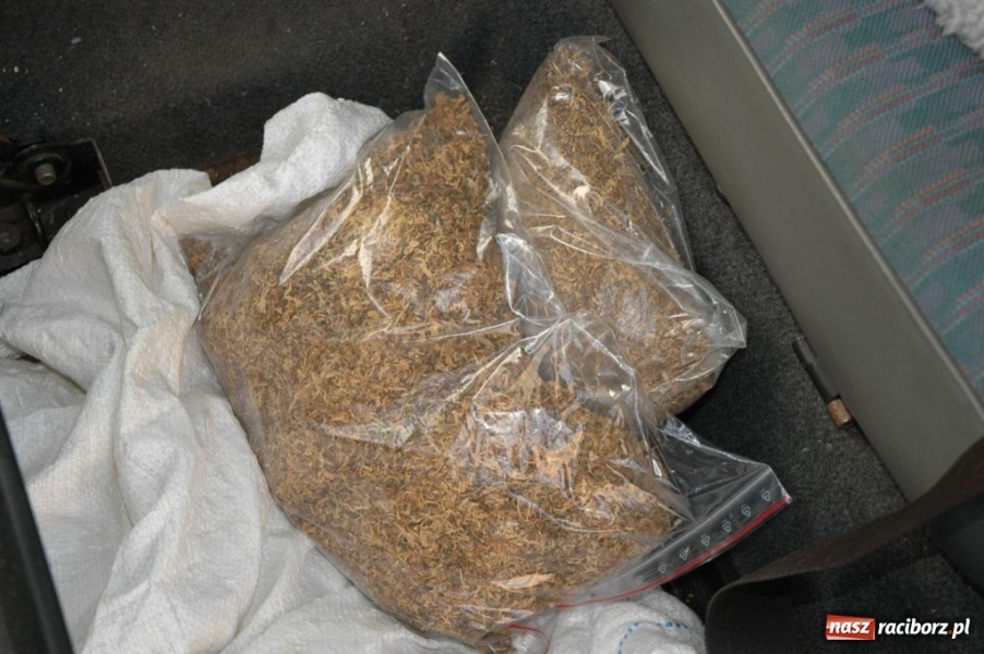 Zdjęcie w galerii na portalu naszraciborz.pl: ŚOSG: Kolejne 