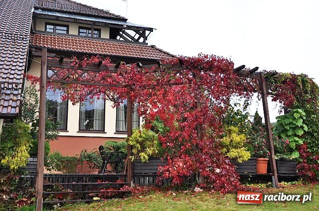 Zdjęcie w galerii na portalu naszraciborz.pl: Silvan Spa nie tylko dla elit wiadomości z regionu