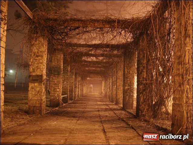 Zdjęcie w galerii na portalu naszraciborz.pl: Magiczny Racibórz wiadomości z regionu