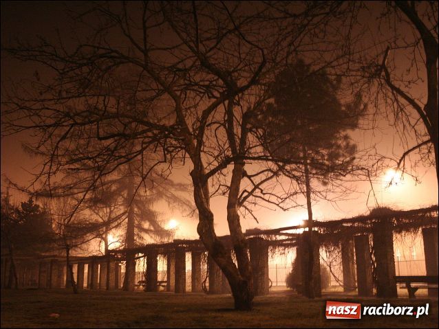 Zdjęcie w galerii na portalu naszraciborz.pl: Magiczny Racibórz wiadomości z regionu