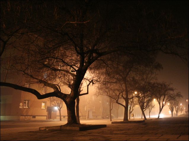 Zdjęcie w galerii na portalu naszraciborz.pl: Magiczny Racibórz wiadomości z regionu