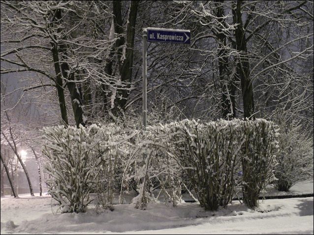 Zdjęcie w galerii na portalu naszraciborz.pl: Magiczny Racibórz wiadomości z regionu