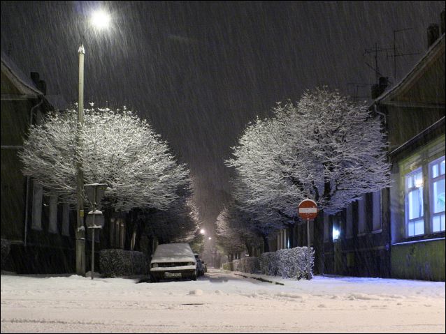 Zdjęcie w galerii na portalu naszraciborz.pl: Magiczny Racibórz wiadomości z regionu